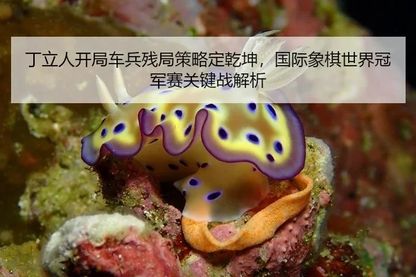 丁立人开局车兵残局策略定乾坤，国际象棋世界冠军赛关键战解析