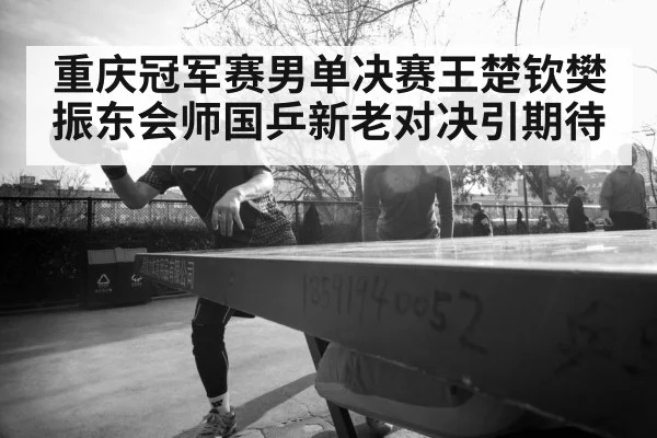 Fan Zhendong table tennis